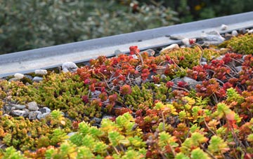 the cost of Haringey green roof installation