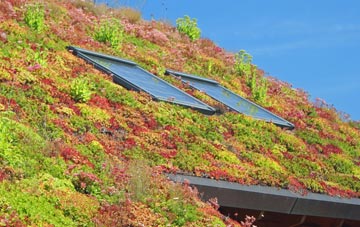 Haringey living roof systems
