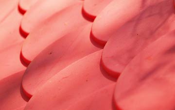 Haringey plastic roof costs