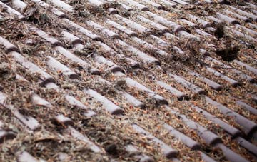 Haringey roof cleaning companies