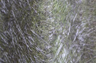 Haringey fibreglass roof work